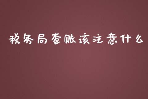 税务局查账该注意什么_https://cj001.lansai.wang_会计问答_第1张