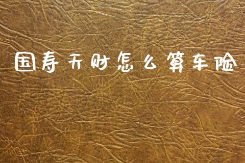国寿天财怎么算车险_https://cj001.lansai.wang_保险问答_第1张