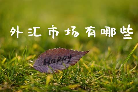 外汇市场有哪些_https://cj001.lansai.wang_期货问答_第1张