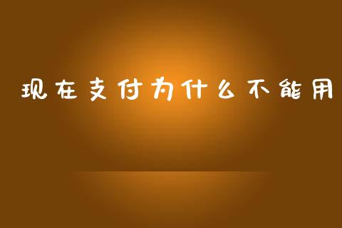 现在支付为什么不能用_https://cj001.lansai.wang_理财问答_第1张