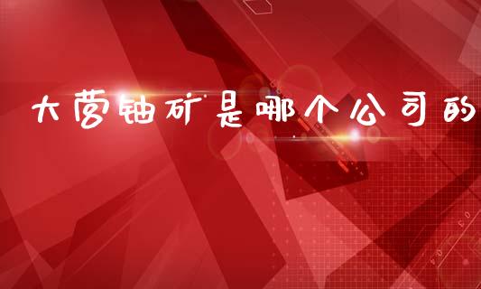 大营铀矿是哪个公司的_https://cj001.lansai.wang_财经百问_第1张
