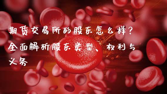 期货交易所的股东怎么样？全面解析股东类型、权利与义务_https://cj001.lansai.wang_理财问答_第1张