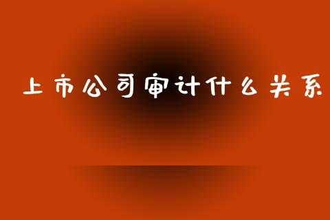 上市公司审计什么关系_https://cj001.lansai.wang_会计问答_第1张