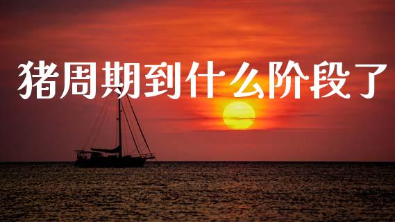 猪周期到什么阶段了_https://cj001.lansai.wang_期货问答_第1张