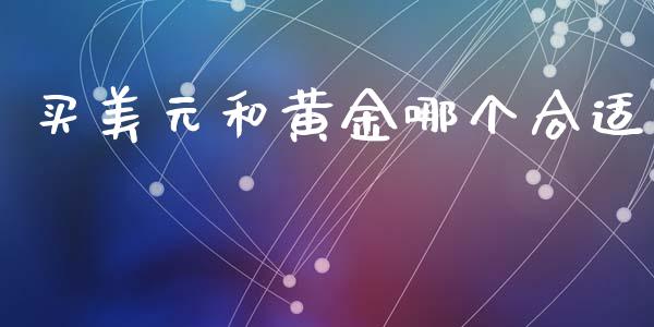 买美元和黄金哪个合适_https://cj001.lansai.wang_期货问答_第1张