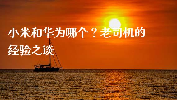 小米和华为哪个？老司机的经验之谈_https://cj001.lansai.wang_金融问答_第1张