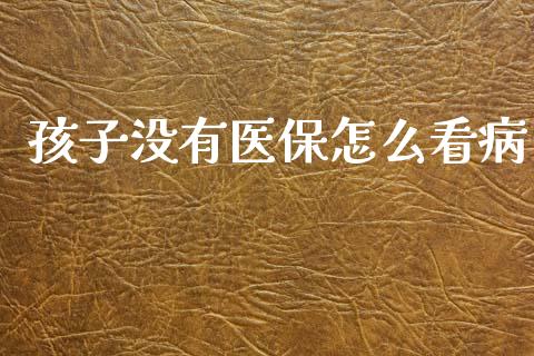 孩子没有医保怎么看病_https://cj001.lansai.wang_保险问答_第1张
