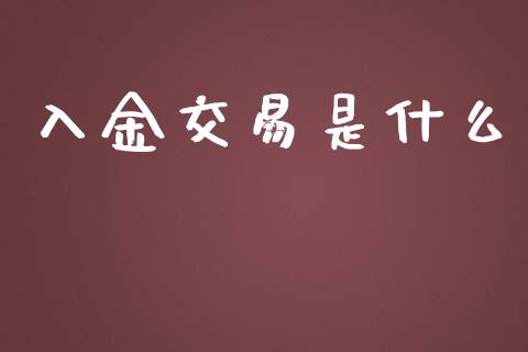 入金交易是什么_https://cj001.lansai.wang_期货问答_第1张