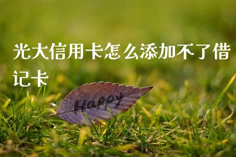 光大信用卡怎么添加不了借记卡_https://cj001.lansai.wang_金融问答_第1张