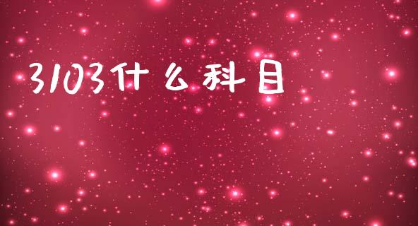 3103什么科目_https://cj001.lansai.wang_会计问答_第1张