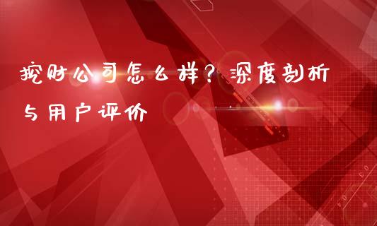 挖财公司怎么样？深度剖析与用户评价_https://cj001.lansai.wang_股市问答_第1张