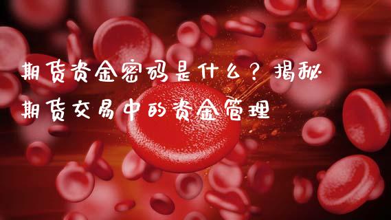 期货资金密码是什么？揭秘期货交易中的资金管理_https://cj001.lansai.wang_股市问答_第1张