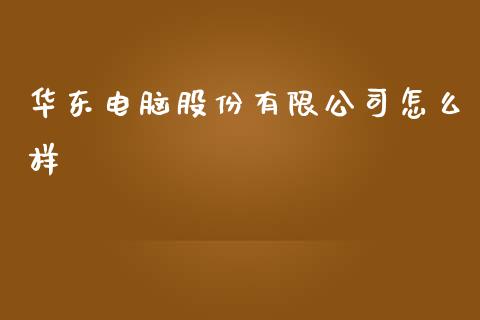 华东电脑股份有限公司怎么样_https://cj001.lansai.wang_期货问答_第1张