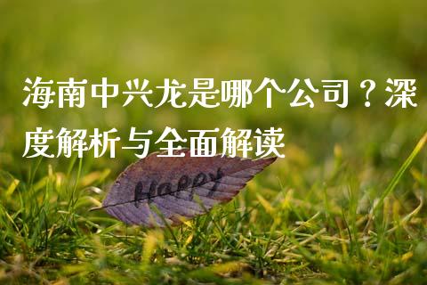 海南中兴龙是哪个公司？深度解析与全面解读_https://cj001.lansai.wang_保险问答_第1张