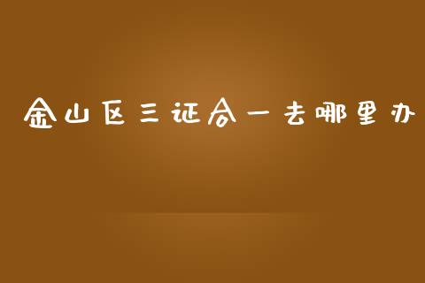 金山区三证合一去哪里办_https://cj001.lansai.wang_期货问答_第1张