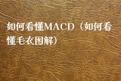 如何看懂MACD（如何看懂毛衣图解）_https://cj001.lansai.wang_会计问答_第1张