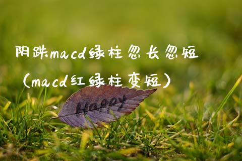 阴跌macd绿柱忽长忽短（macd红绿柱变短）_https://cj001.lansai.wang_会计问答_第1张