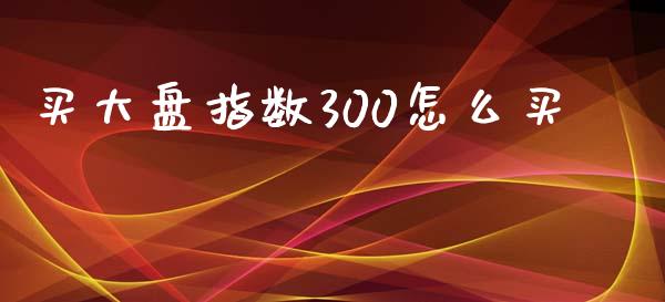 买大盘指数300怎么买_保险问答_第1张_财经百问网 买大盘指数300怎么买_https://cj001.lansai.wang_保险问答_第1张