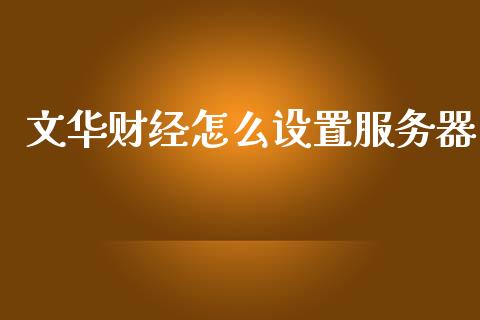 文华财经怎么设置服务器_https://cj001.lansai.wang_期货问答_第1张