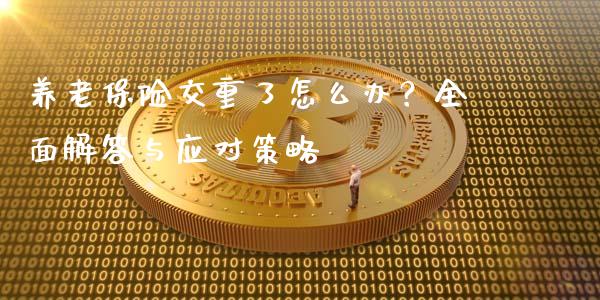 养老保险交重了怎么办？全面解答与应对策略_https://cj001.lansai.wang_财经问答_第1张