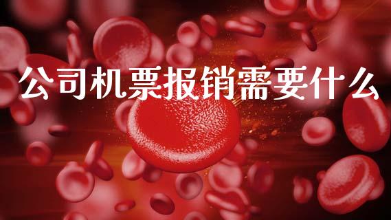 公司机票报销需要什么_https://cj001.lansai.wang_会计问答_第1张