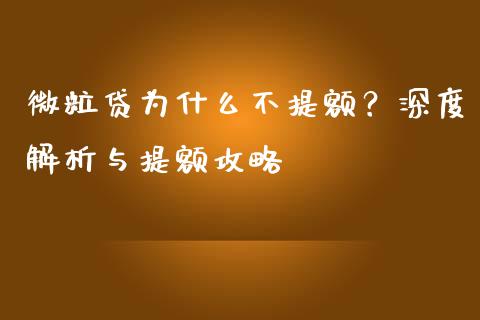 微粒贷为什么不提额？深度解析与提额攻略_https://cj001.lansai.wang_财经百问_第1张