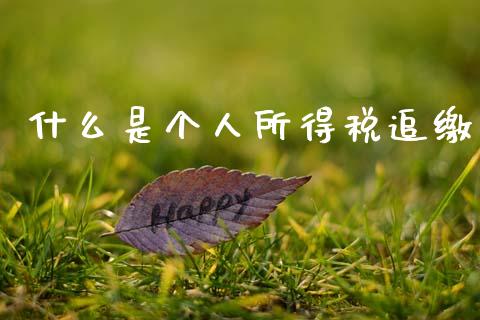 什么是个人所得税追缴_https://cj001.lansai.wang_会计问答_第1张