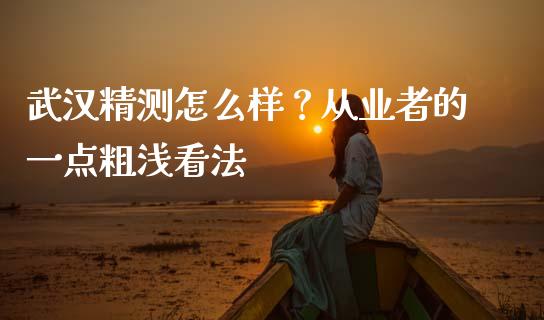 武汉精测怎么样？从业者的一点粗浅看法_https://cj001.lansai.wang_保险问答_第1张