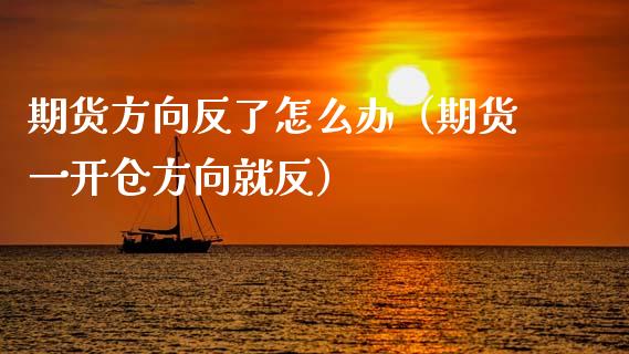 期货方向反了怎么办（期货一开仓方向就反）_https://cj001.lansai.wang_期货问答_第1张