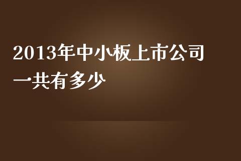 2013年中小板上市公司一共有多少_https://cj001.lansai.wang_财经问答_第1张