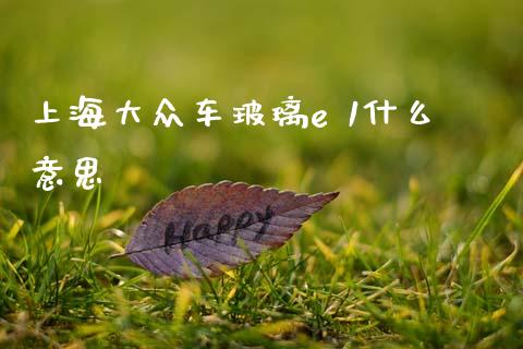 上海大众车玻璃e 1什么意思_https://cj001.lansai.wang_金融问答_第1张