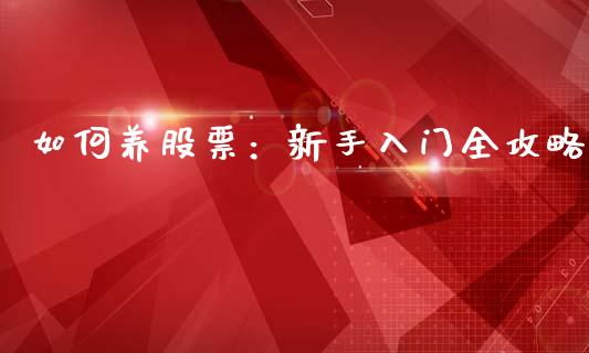 如何养股票：新手入门全攻略_https://cj001.lansai.wang_理财问答_第1张