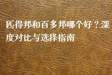 匹得邦和百多邦哪个好？深度对比与选择指南_https://cj001.lansai.wang_财经问答_第1张