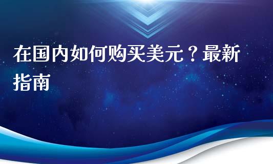 在国内如何购买美元？最新指南_https://cj001.lansai.wang_金融问答_第1张
