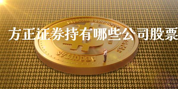 方正证券持有哪些公司股票_https://cj001.lansai.wang_金融问答_第1张