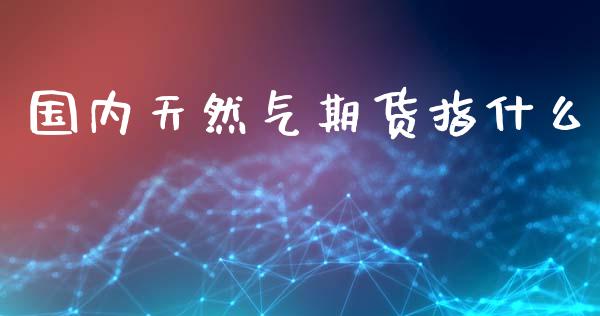 国内天然气期货指什么_https://cj001.lansai.wang_财经百问_第1张