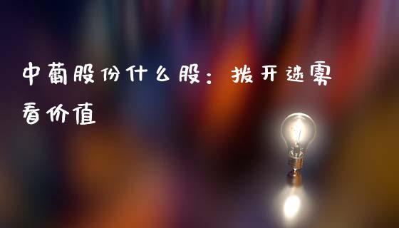 中葡股份什么股：拨开迷雾看价值_https://cj001.lansai.wang_股市问答_第1张