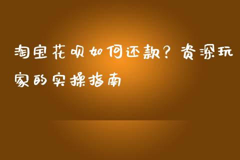 淘宝花呗如何还款？资深玩家的实操指南_https://cj001.lansai.wang_财经问答_第1张