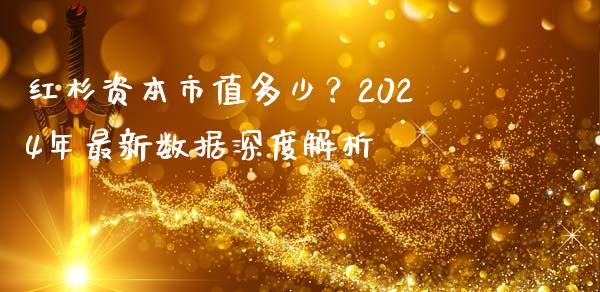 红杉资本市值多少？2024年最新数据深度解析_https://cj001.lansai.wang_金融问答_第1张