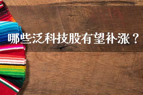 哪些泛科技股有望补涨？_https://cj001.lansai.wang_财经问答_第1张