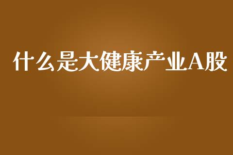 什么是大健康产业A股_https://cj001.lansai.wang_金融问答_第1张