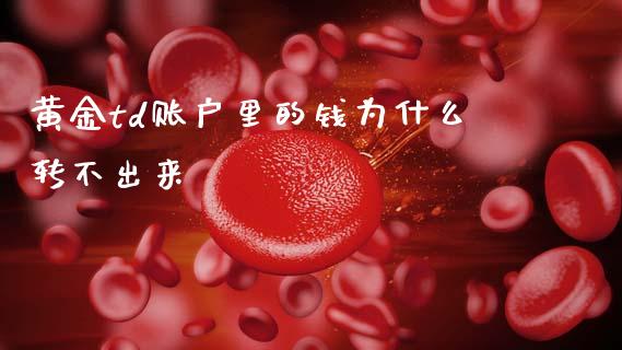 黄金td账户里的钱为什么转不出来_财经百问_第1张_财经百问网 黄金td账户里的钱为什么转不出来_https://cj001.lansai.wang_财经百问_第1张