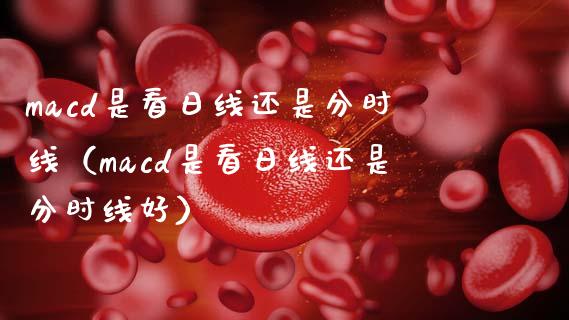 macd是看日线还是分时线（macd是看日线还是分时线好）_https://cj001.lansai.wang_财经问答_第1张