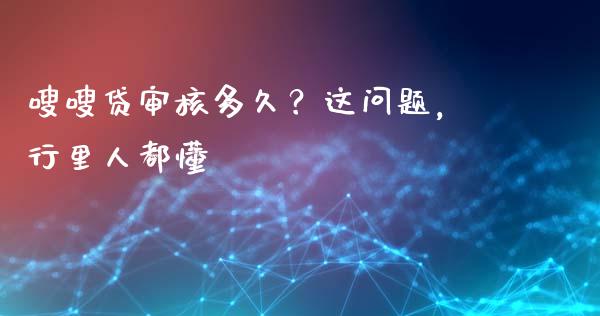 嗖嗖贷审核多久？这问题，行里人都懂_https://cj001.lansai.wang_保险问答_第1张