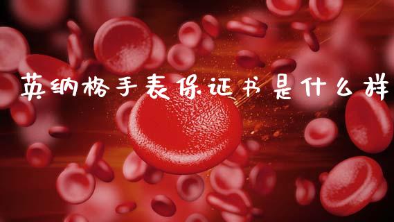 英纳格手表保证书是什么样_https://cj001.lansai.wang_金融问答_第1张