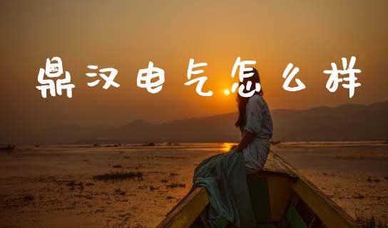 鼎汉电气怎么样_https://cj001.lansai.wang_金融问答_第1张