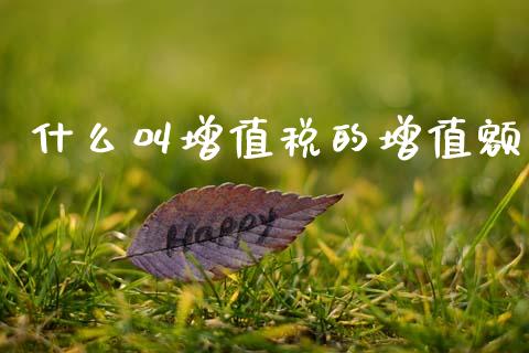 什么叫增值税的增值额_https://cj001.lansai.wang_会计问答_第1张
