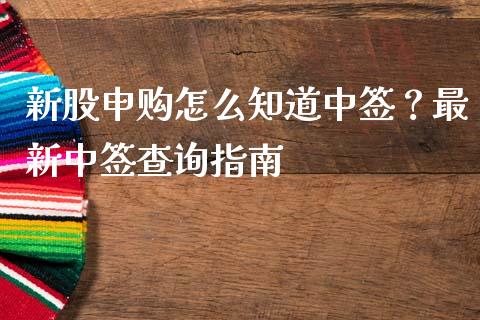 新股申购怎么知道中签？最新中签查询指南_https://cj001.lansai.wang_会计问答_第1张