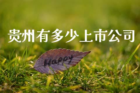 贵州有多少上市公司_财经百问_第1张_财经百问网 贵州有多少上市公司_https://cj001.lansai.wang_财经百问_第1张