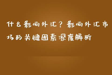 什么影响外汇？影响外汇市场的关键因素深度解析_https://cj001.lansai.wang_保险问答_第1张